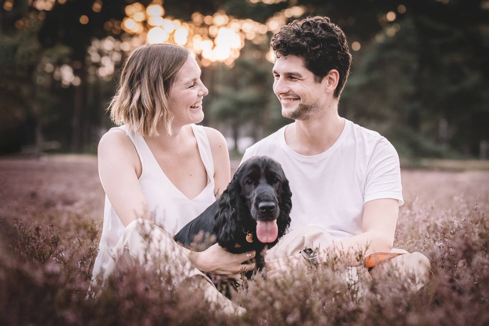 Themen-Shooting 2 themen shooting sonnenuntergang heide cocker spaniel