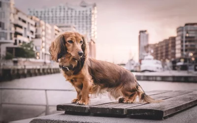 Themen-Shooting „Speicherstadt & Hafencity“ mit Jule