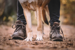 Hundeshooting im Herbst.
