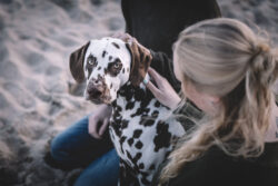 Strandshooting mit Hund und ganzer Familie.