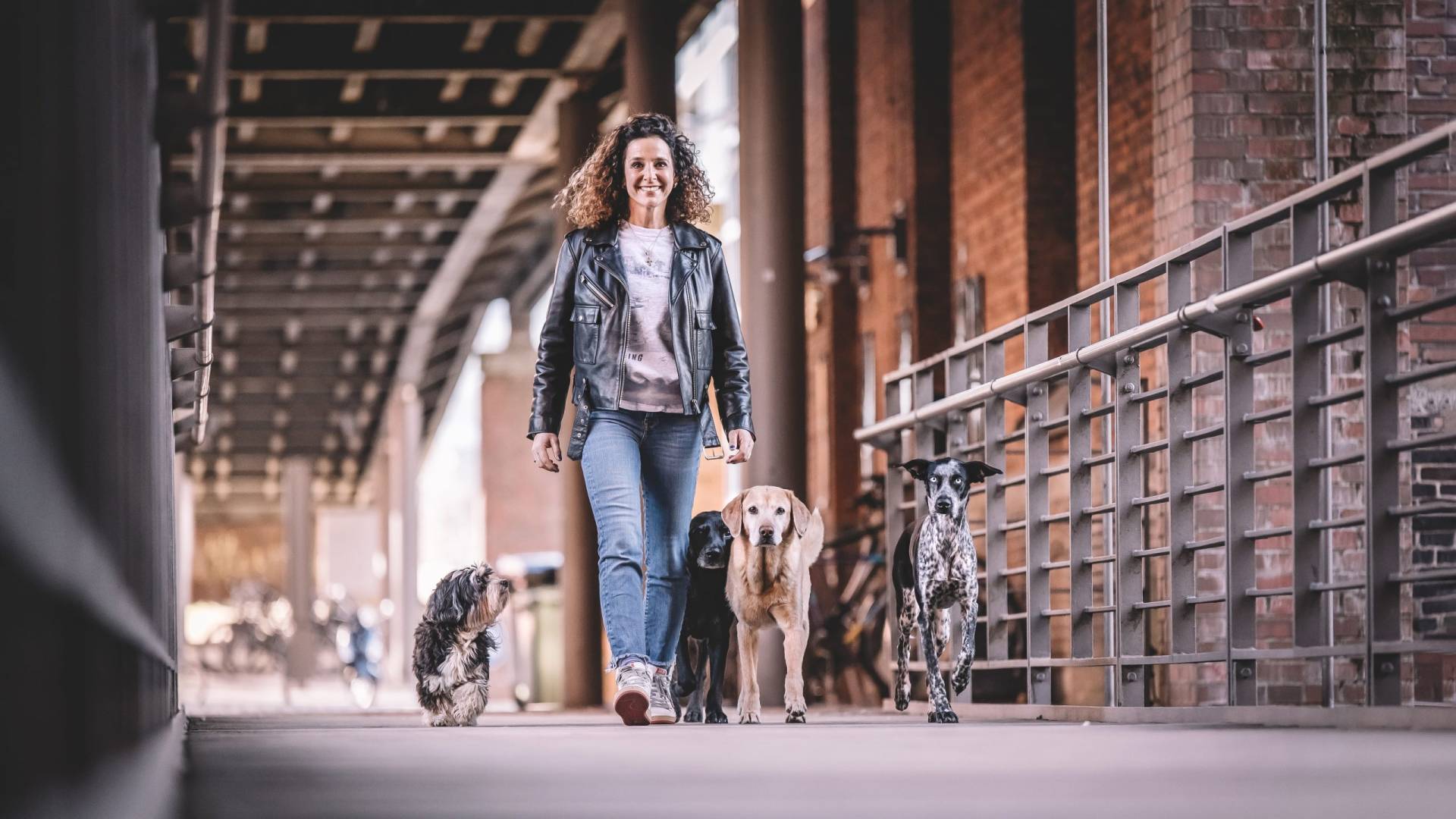 business shooting hamburg hundetrainerin scaled